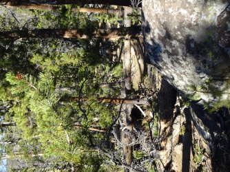 DSC00727_Large.JPG DSC00727_Large.JPG