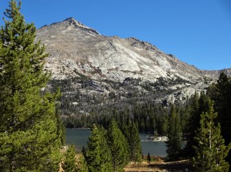 DSC00732_Large.JPG DSC00732_Large.JPG