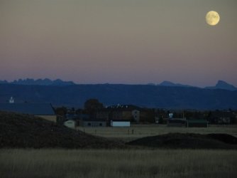 DSC00720_Large.JPG DSC00720_Large.JPG