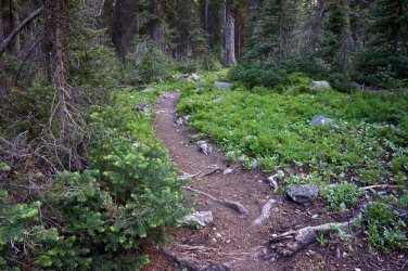 36572E39-DC55-43C1-962E-F719DD45D9D5.jpeg 36572E39-DC55-43C1-962E-F719DD45D9D5.jpeg