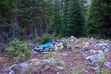 3629DD15-4628-4BCD-8A96-85F20AFA420E.jpeg 3629DD15-4628-4BCD-8A96-85F20AFA420E.jpeg