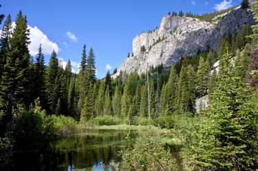 B16E3666-D247-4F85-BF00-795F795AC256.jpeg B16E3666-D247-4F85-BF00-795F795AC256.jpeg