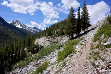 46016D80-4496-4A61-870A-398B529C2C01.jpeg 46016D80-4496-4A61-870A-398B529C2C01.jpeg