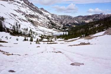 068BECE4-A9D3-4DD0-BF33-508D72C70596.jpeg 068BECE4-A9D3-4DD0-BF33-508D72C70596.jpeg