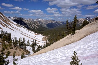 C646F7AE-31A2-4527-879C-91EB3AC55202.jpeg C646F7AE-31A2-4527-879C-91EB3AC55202.jpeg