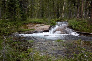 0BE82624-0B36-4329-B6A1-7BD825BC52F6.jpeg 0BE82624-0B36-4329-B6A1-7BD825BC52F6.jpeg