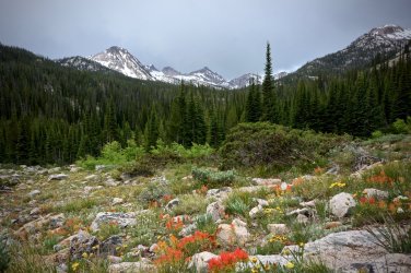 5F49B7A6-EF1C-49BC-AA49-2C826481A6ED.jpeg 5F49B7A6-EF1C-49BC-AA49-2C826481A6ED.jpeg