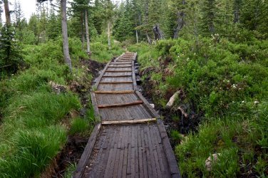 02A76B12-2F79-47D7-82B6-A3808588990B.jpeg 02A76B12-2F79-47D7-82B6-A3808588990B.jpeg