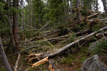 B1399C20-5B6A-49A4-8426-512B32177884.jpeg B1399C20-5B6A-49A4-8426-512B32177884.jpeg