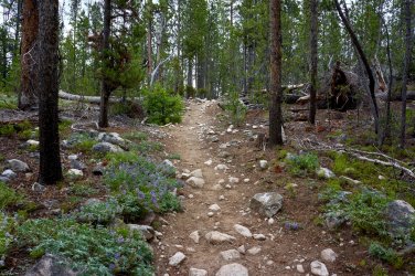 B9CC5C8D-77E8-41C5-A00B-DAF60538BD56.jpeg B9CC5C8D-77E8-41C5-A00B-DAF60538BD56.jpeg