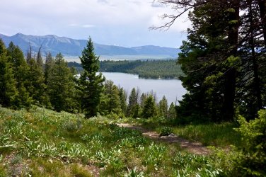 988C0FA9-7CDD-4650-9039-0EB3285374A7.jpeg 988C0FA9-7CDD-4650-9039-0EB3285374A7.jpeg