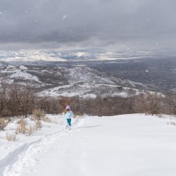 RCM05141-2021 Wanderings 2021-210220-49 Copy.JPG