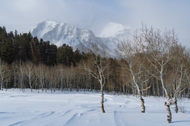 RCM05185-2021 Wanderings 2021-210227-17.jpg