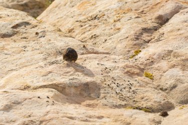 RCM05660-Hwy 12 Tour 3-2021-210306-14.jpg