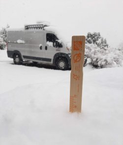 20210313_092835 (1).jpg