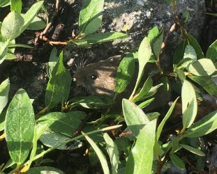 IMG_1156-edit.jpg IMG_1156-edit.jpg