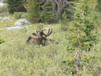 DSCN0608.JPG DSCN0608.JPG