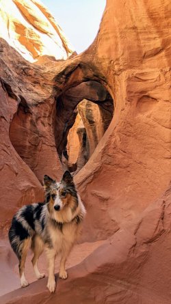 Georgia at peekaboo.jpg