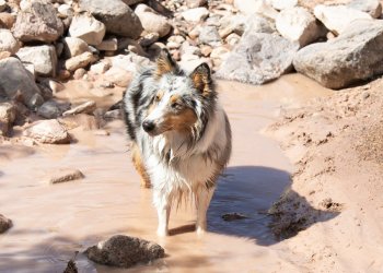 Georgia in the muddy water.jpg