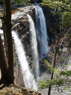 48891D2A-7B4C-4FCE-8E1F-16D48D31D02C.jpeg 48891D2A-7B4C-4FCE-8E1F-16D48D31D02C.jpeg