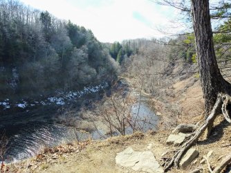 8AD9FC02-8BE7-498F-BE17-6C15EE784763.jpeg 8AD9FC02-8BE7-498F-BE17-6C15EE784763.jpeg