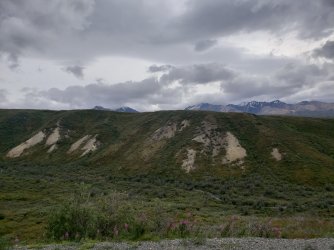 20180820_161142.jpg 20180820_161142.jpg