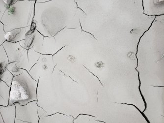 20180820_183841.jpg 20180820_183841.jpg