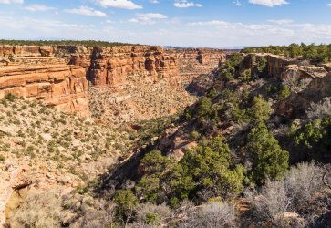 RCM06927-Eastern Utah Roadtrip 4-2021-210408-6.jpg