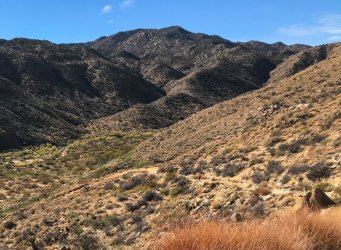 IMG_6284.jpg IMG_6284.jpg