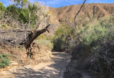 IMG_6295.jpg IMG_6295.jpg