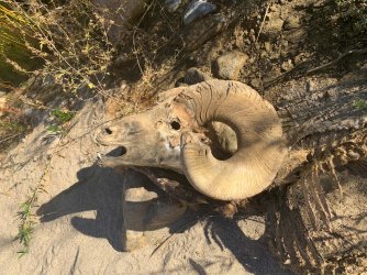 IMG_0043.jpg IMG_0043.jpg