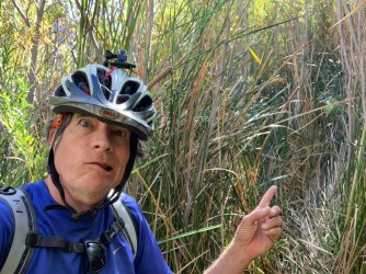 IMG_0050.jpg IMG_0050.jpg