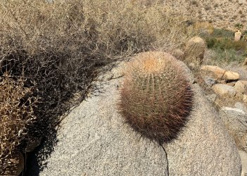 IMG_0063.jpg IMG_0063.jpg