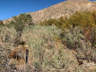 IMG_0066.jpg IMG_0066.jpg