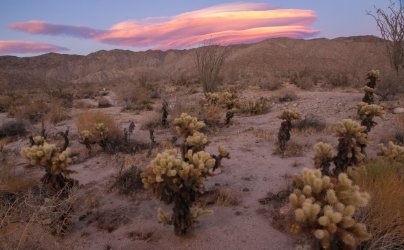 _73A3994.jpg _73A3994.jpg