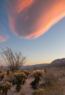 _73A3998.jpg _73A3998.jpg