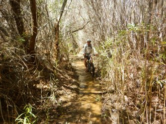 DSCN0316.jpg DSCN0316.jpg