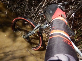 DSCN0318.jpg DSCN0318.jpg