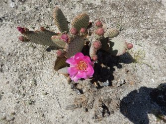 DSCN0340.jpg DSCN0340.jpg