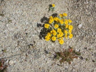 DSCN0345.jpg DSCN0345.jpg