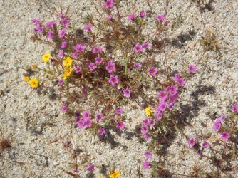 DSCN0352.jpg DSCN0352.jpg