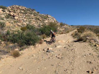 IMG_0102.jpg IMG_0102.jpg