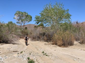 IMG_0116.jpg IMG_0116.jpg