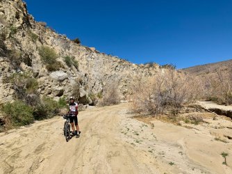 IMG_0117.jpg IMG_0117.jpg