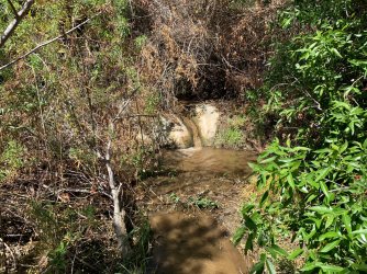 IMG_0126.jpg IMG_0126.jpg