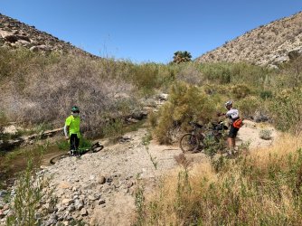 IMG_0133.jpg IMG_0133.jpg