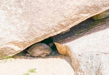 IMG_0159.jpg IMG_0159.jpg