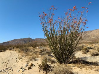 IMG_0166.jpg IMG_0166.jpg