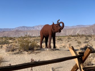 IMG_0168.jpg IMG_0168.jpg