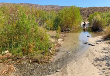 IMG_0178.jpg IMG_0178.jpg